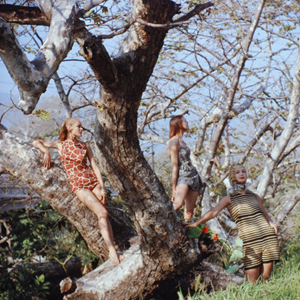 Mujeres en los árboles